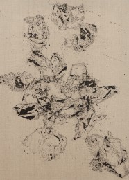 Schwarze Rose, 2007